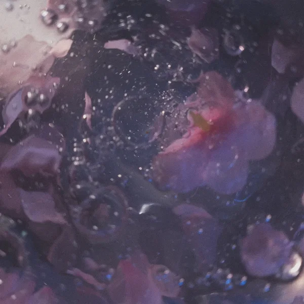 春