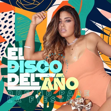 El disco del año… que no pare la fiesta! by Various Artists - album cover