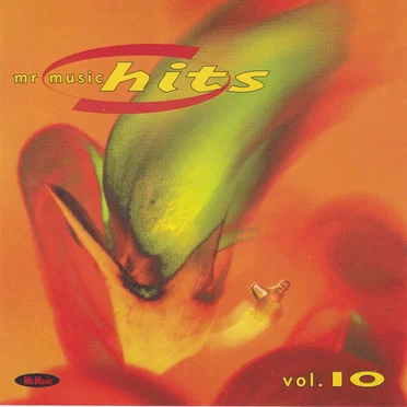 Mr Music Hits 10. 1999 by Various Artists - album cover