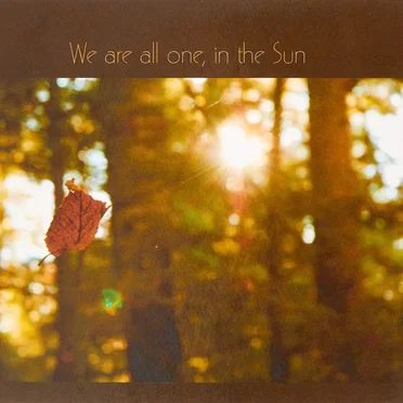 We Are All One, In The Sun: Tribute to Robbie Basho by Various Artists - album cover