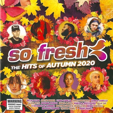 So Fresh: The Hits of Autumn 2020 by Various Artists - album cover
