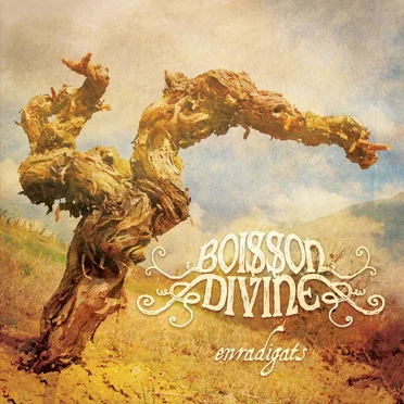 Enradigats by Boisson Divine - album cover
