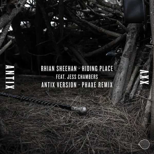 Hiding Place (Phaxe remix)