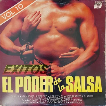 El poder de la salsa, vol. 10 by Varios - album cover
