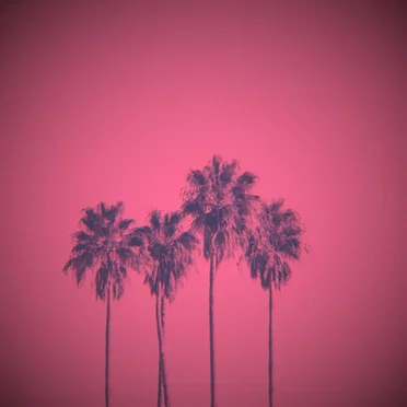 Destination Miami