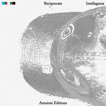 Reciprocate by Intellagama - album cover