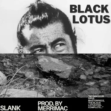 Black Lotus