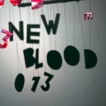 New Blood 013 by Various Artists - album cover