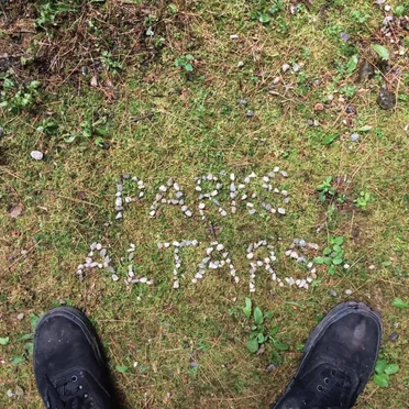 Parks and Altars by Mallcops - album cover