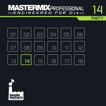 Mastermix Professional Engineered for DJs 14: Party by Various Artists - album cover