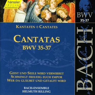 Cantatas, BWV 35–37