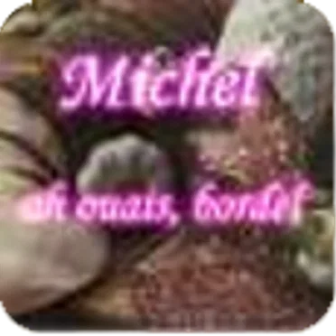 Ah ouais, bordel by Michel - album cover