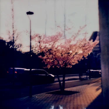 Home Normal Mixtape by Stijn Hüwels