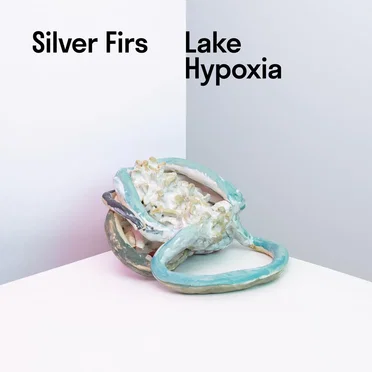 Lake Hypoxia