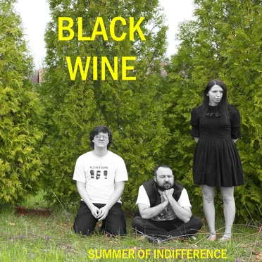Summer of Indifference