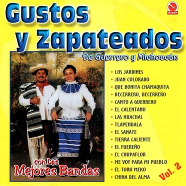 Gustos y zapateados de Guerrero y Michoacán con las mejores bandas, vol. 2 by Various Artists - album cover