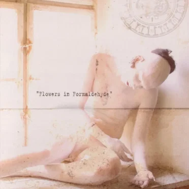 Flowers in Formaldehyde by Sopor Aeternus & The Ensemble of Shadows - album cover