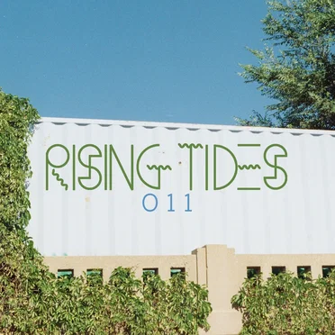 RISING TIDES 011 by Various Artists - album cover