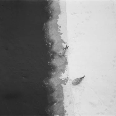 Farewell by AU - album cover