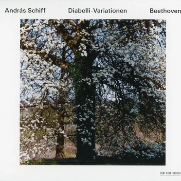 Diabelli-Variationen