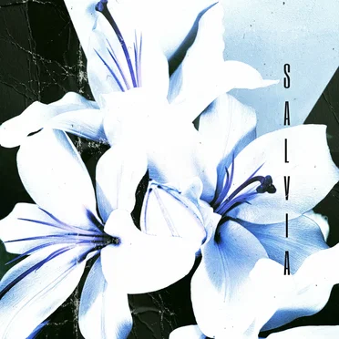 Adrenaline by Salvia - album cover