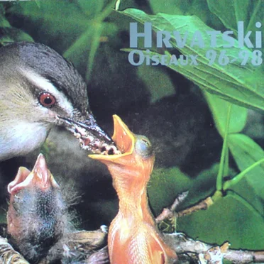 Oiseaux 96-98