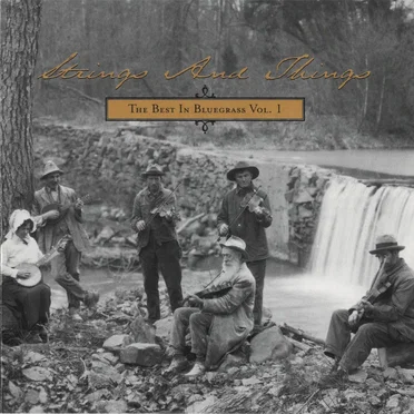 Strings and Things: The Best In Bluegrass, Vol. 1 by Various Artists - album cover