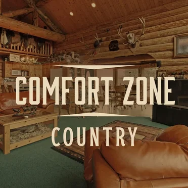 Comfort Zone: Country by Various Artists - album cover