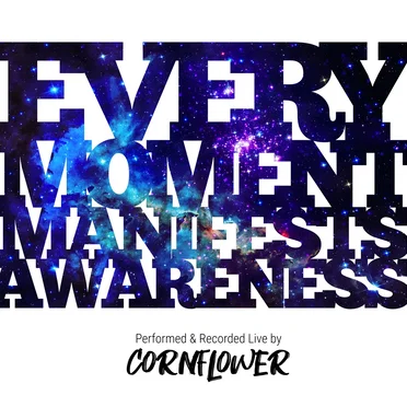 Every Moment Manifests Awareness
