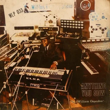 Anything You Sow by William Onyeabor - album cover
