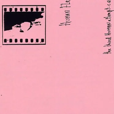 The Third Human Attempt by Human Flesh - album cover
