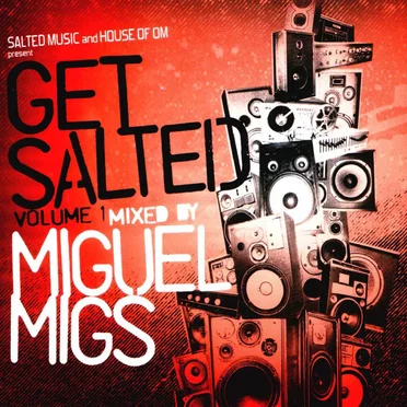 Get Salted, Volume 1 (Mixed by Miguel Migs) by Various Artists - album cover