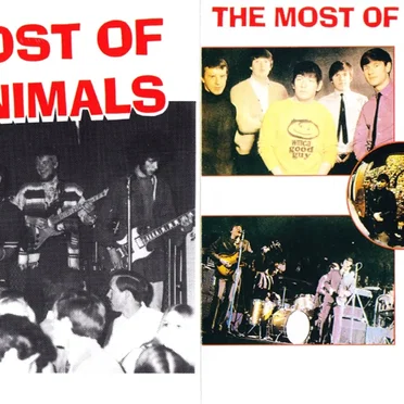 The Most of the Animals