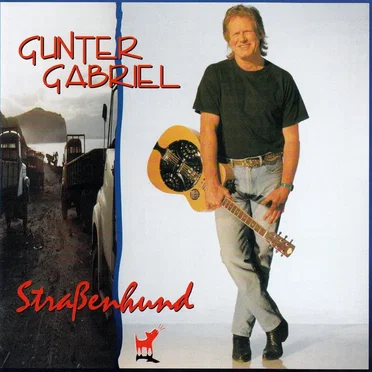 Straßenhund