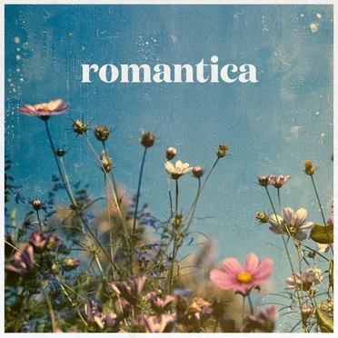Romantica - Piero Piccioni Vintage Italian Soundtracks by Piero Piccioni - album cover