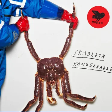 Kongekrabbe