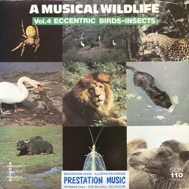 A Musical Wildlife Vol.4 Eccentric Birds-Insects