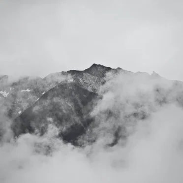 Among the Haze