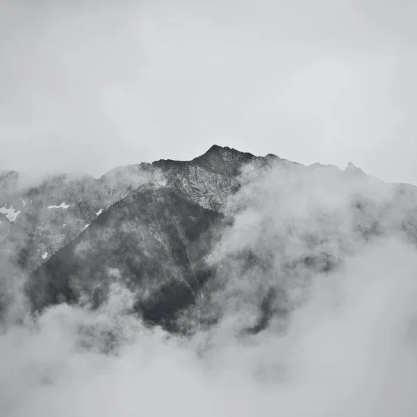 Among the Haze