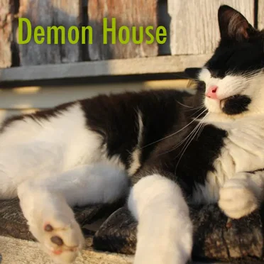 Demon House by Tawahinga - album cover