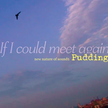 Pudding