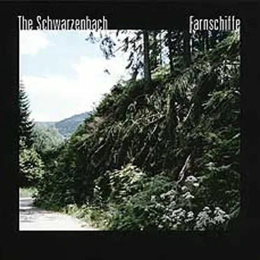 The Schwarzenbach