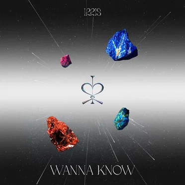 WANNA KNOW by IRRIS - album cover