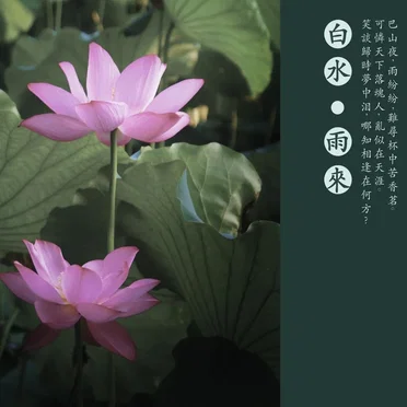 雨来