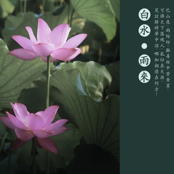 雨来