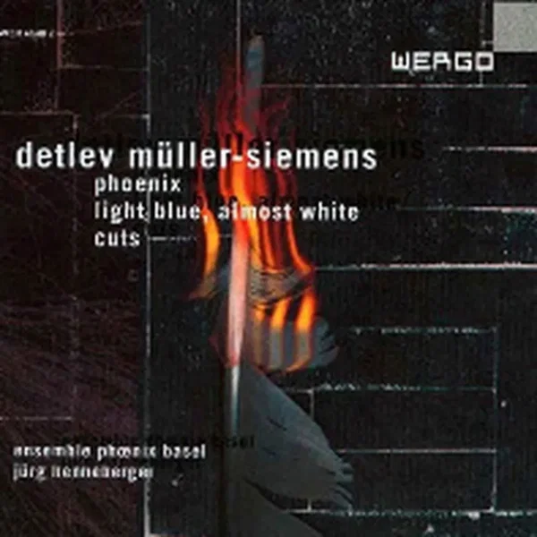 detlev müller-siemens