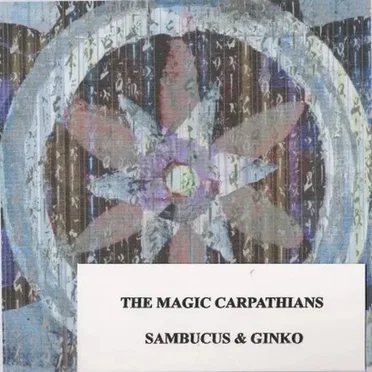 Sambucus & Ginko
