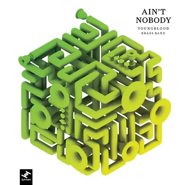 Ain't Nobody by Youngblood Brass Band - album cover