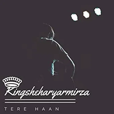 Tere Haan by Kingsheharyarmirza - album cover