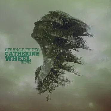 Strange Fruits: Catherine Wheel Tribute by Various Artists - album cover